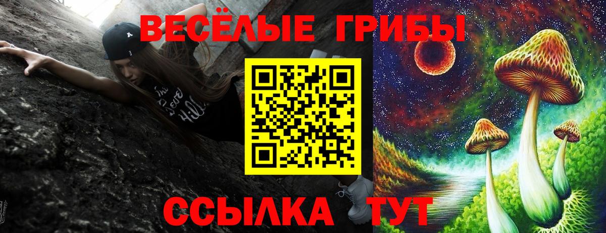 купить  сайты  Псилоцибиновые грибы Psilocybe  Вход с VPN  Тихорецк 