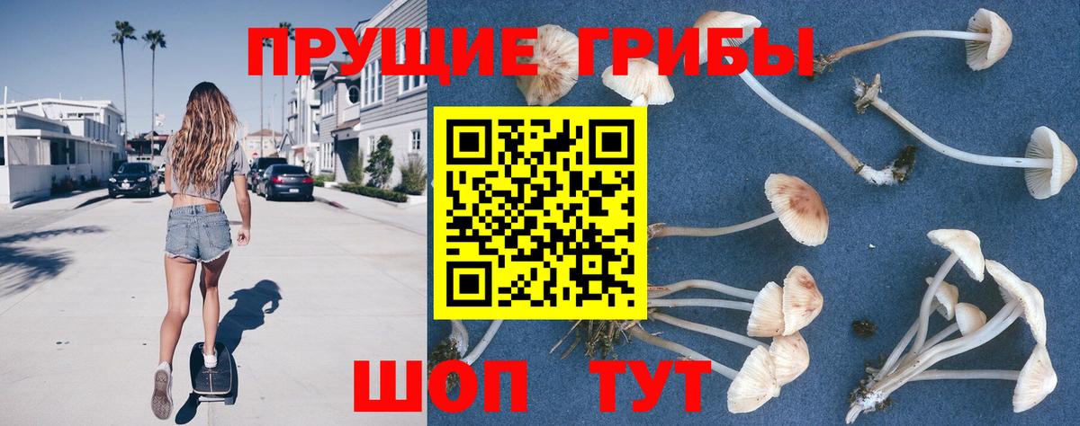 Псилоцибиновые грибы мицелий Тихорецк